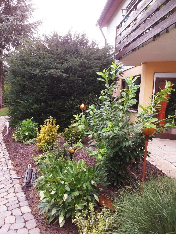 Ferienwohnung Im Rottal Oberrot Exteriér fotografie